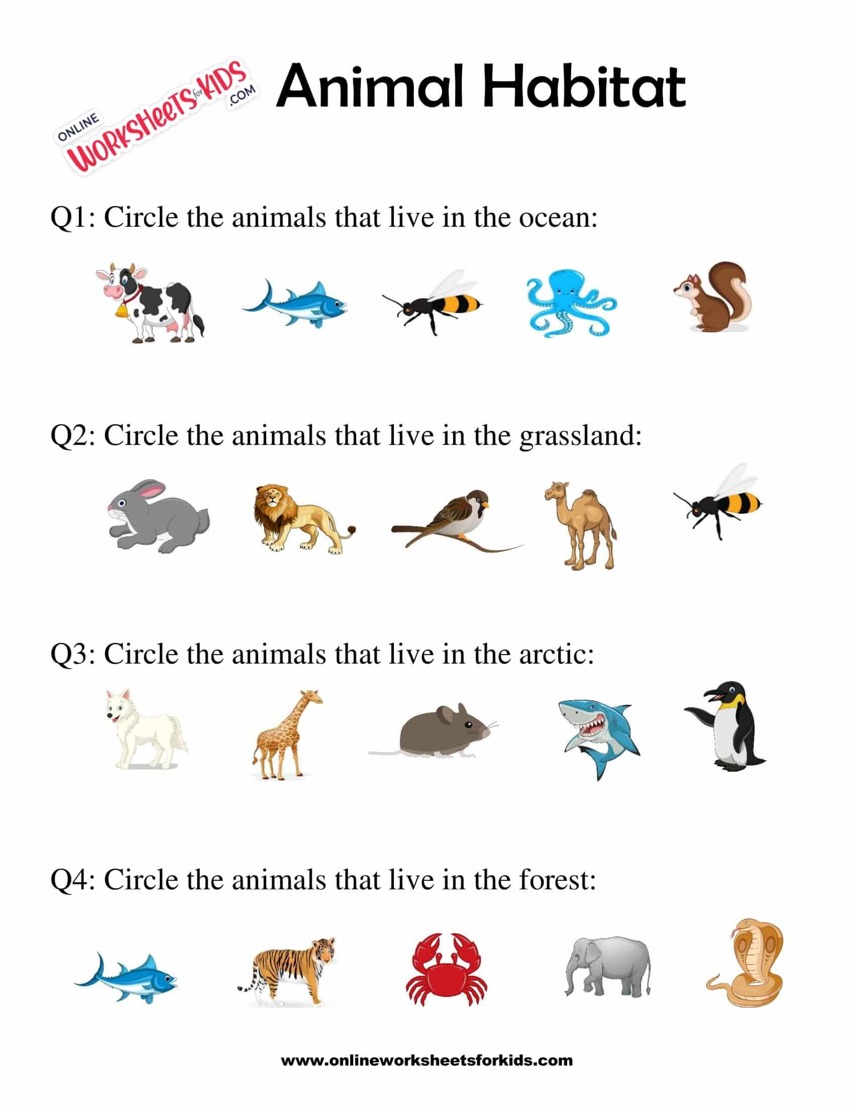 Animal Habitats Worksheets For Grade 13, 43 OFF