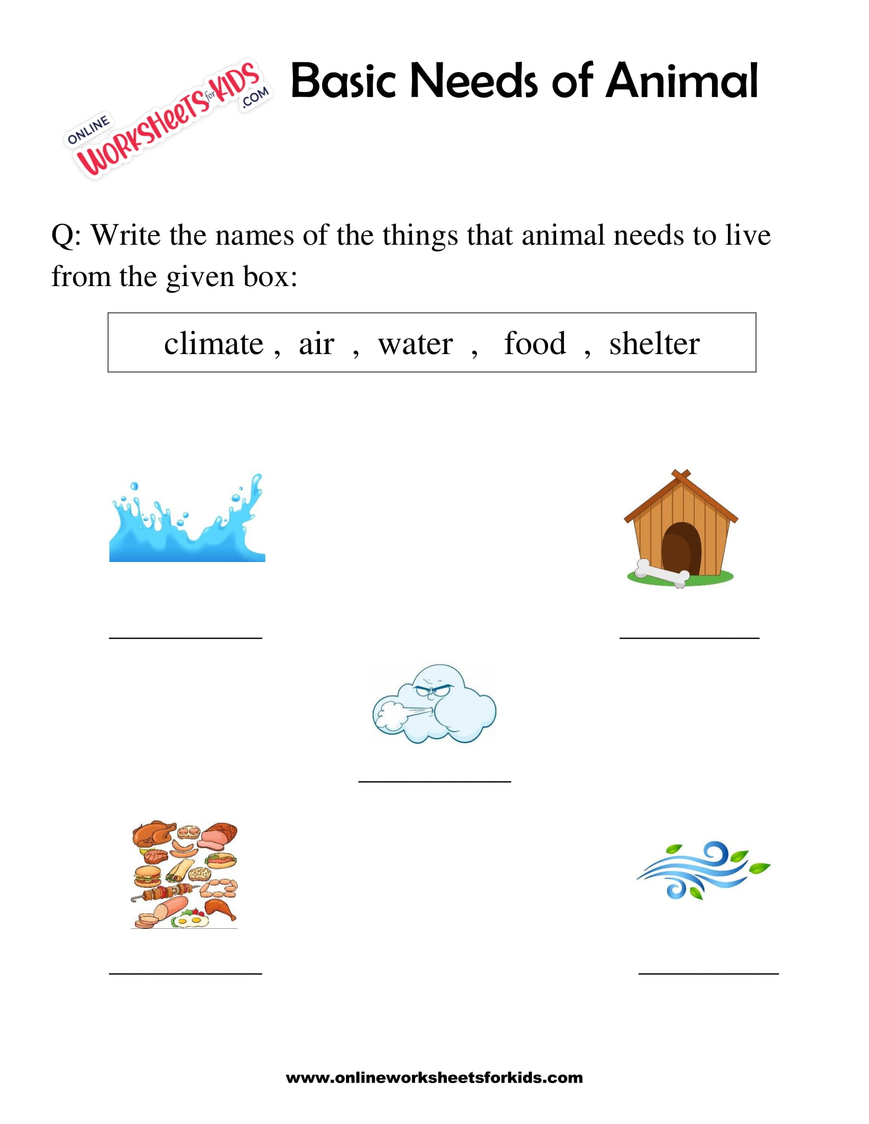 basic-needs-of-animal-worksheet-for-grade-1-2