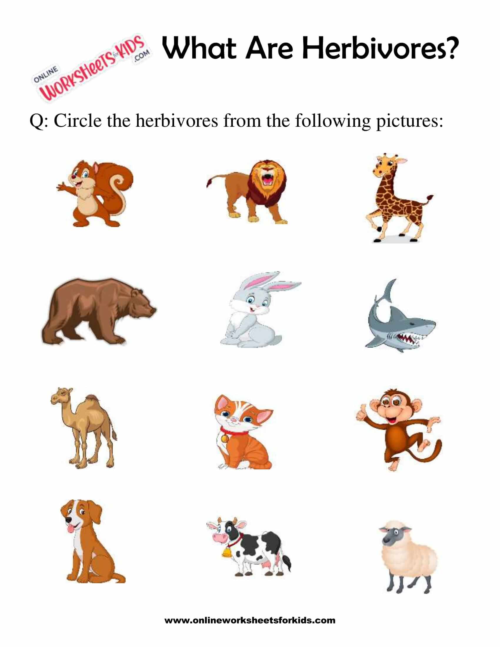 What Are Herbivores Worksheets For 1st Grade 3