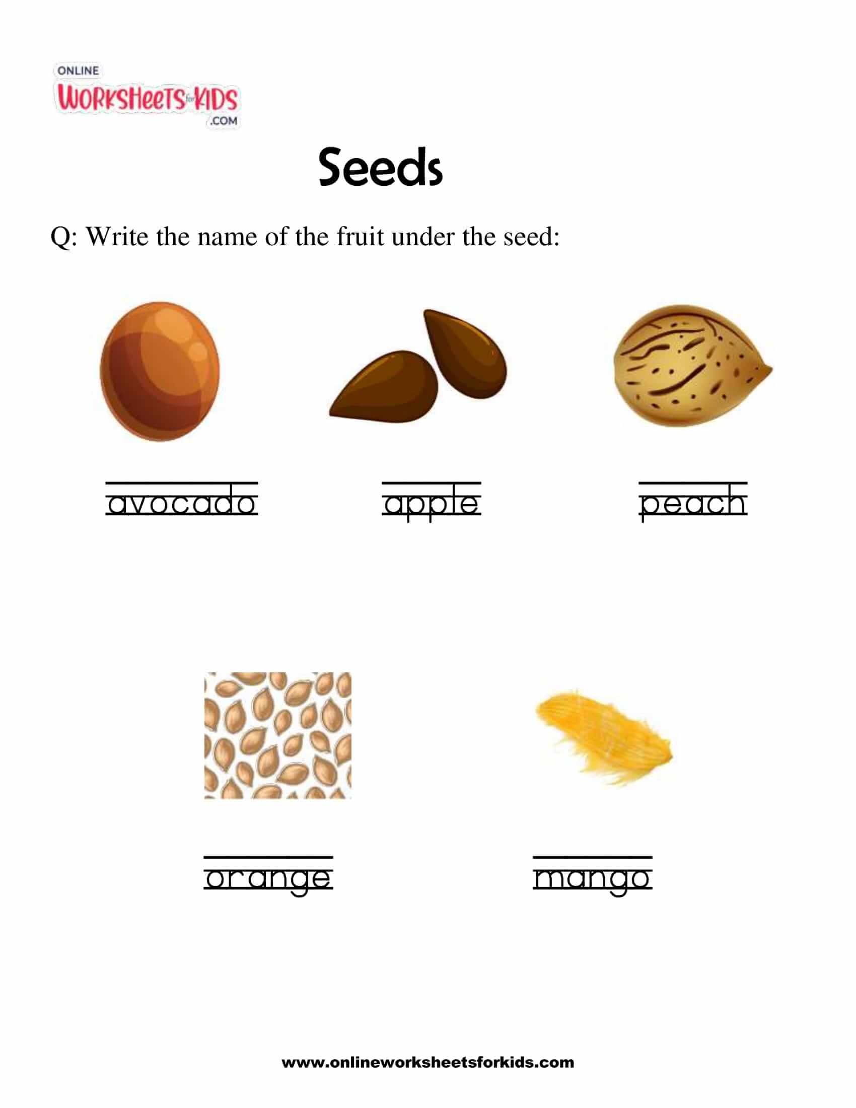 seeds-4