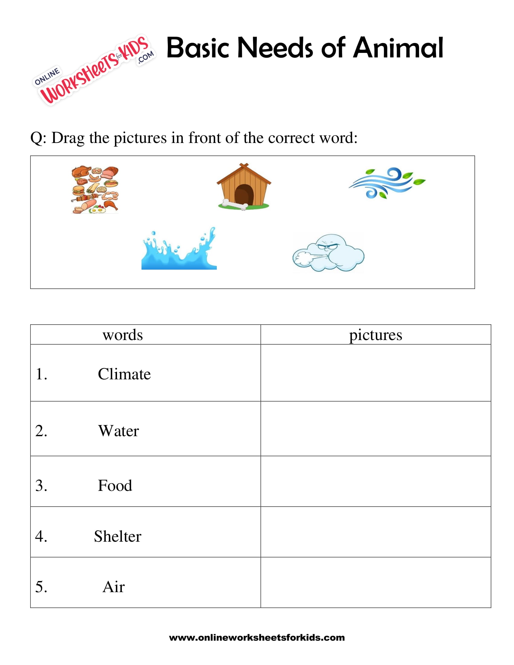 Basic Needs of Animal Worksheet for grade 1-8