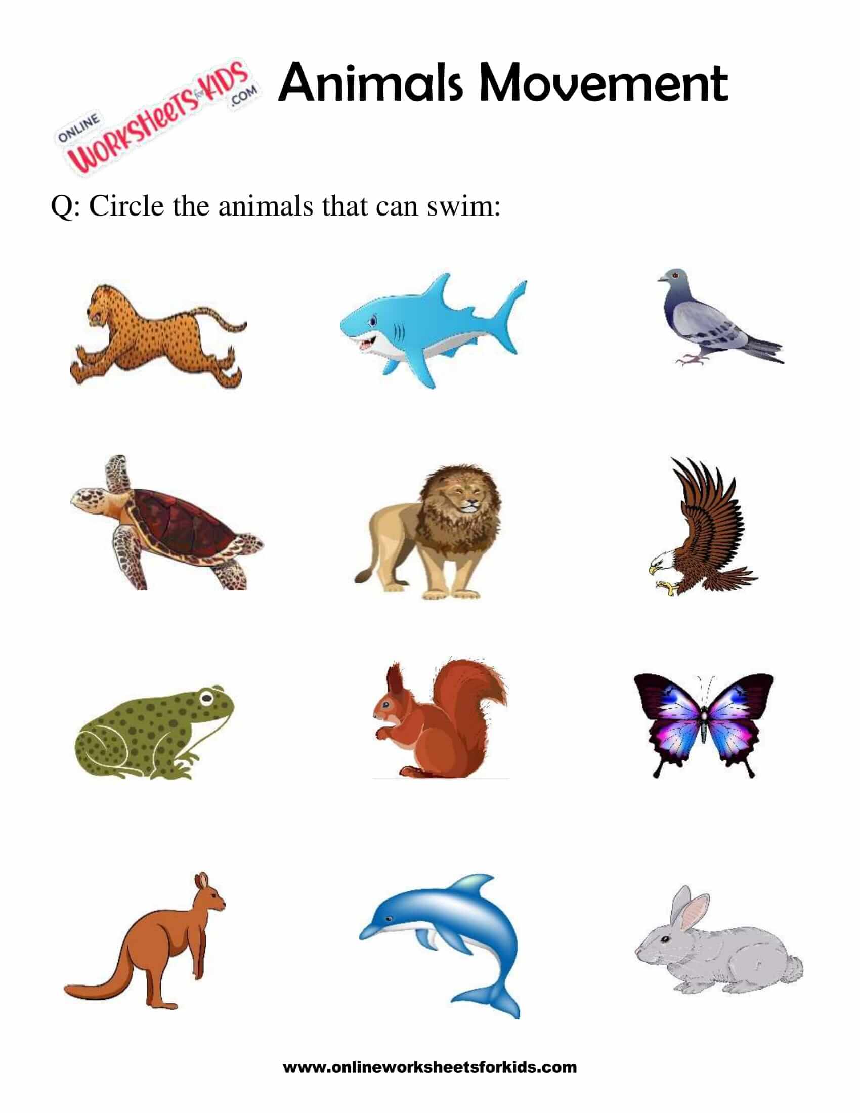 Animals Movement Worksheets For 1st Grade 7