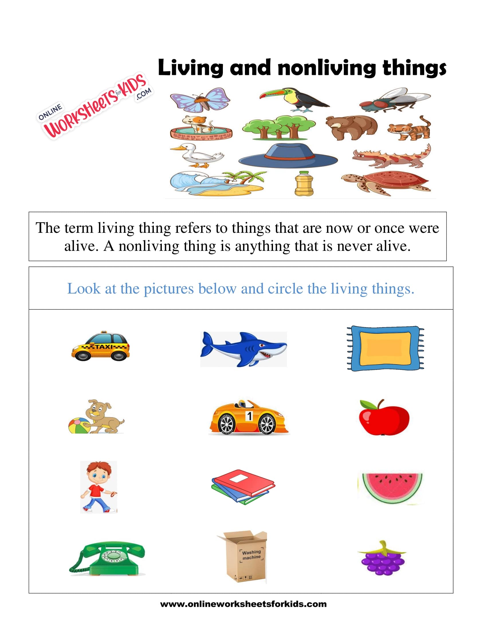 living and non living things worksheets 8