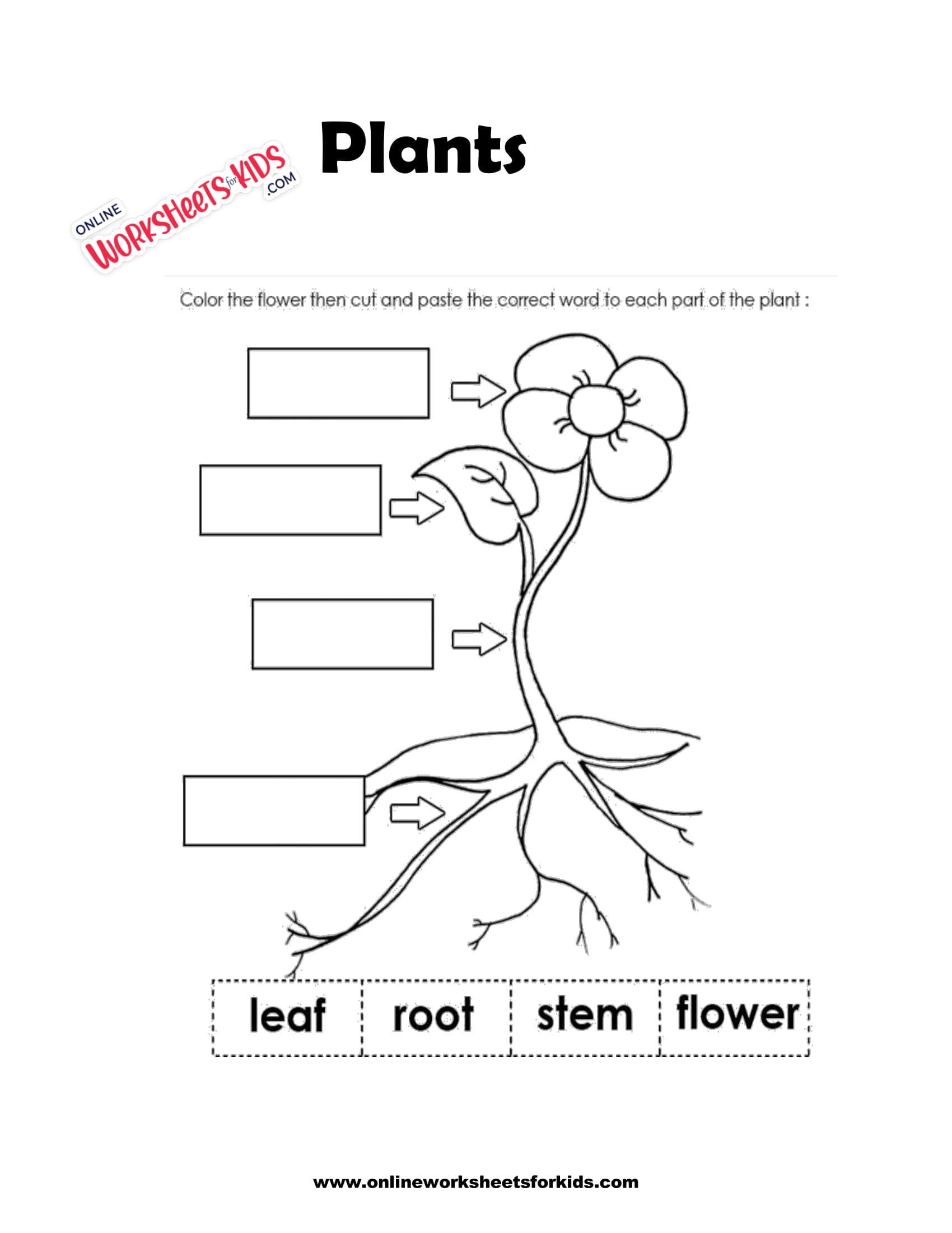 plants worksheets 1