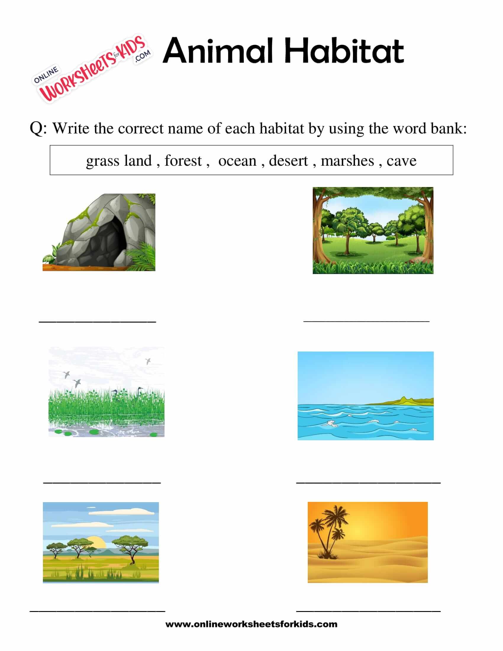 animal-habitats-worksheets-for-grade-1-1