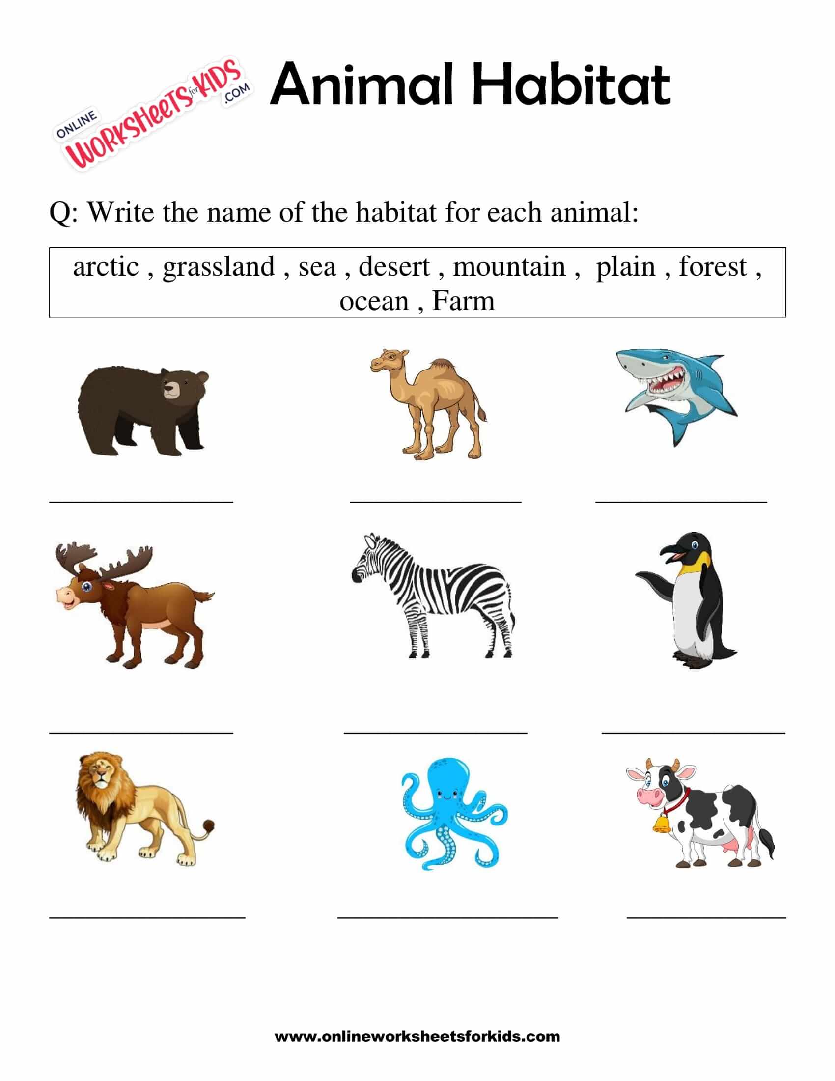 different habitats worksheets