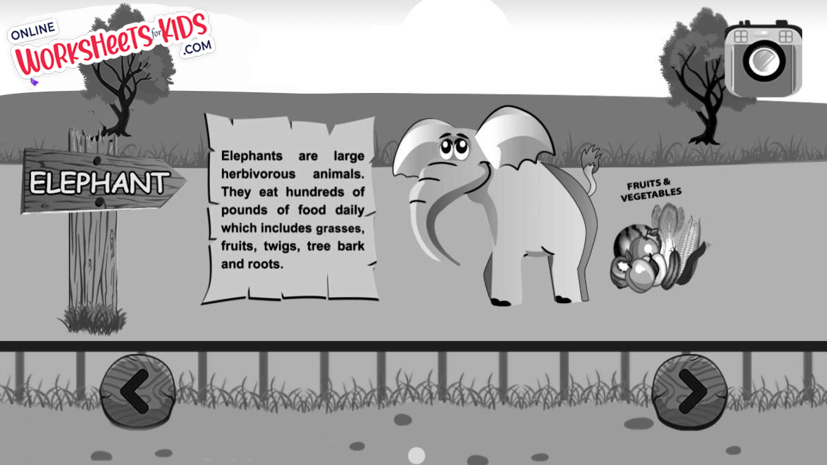 free facts about zoo animal worksheets for kids