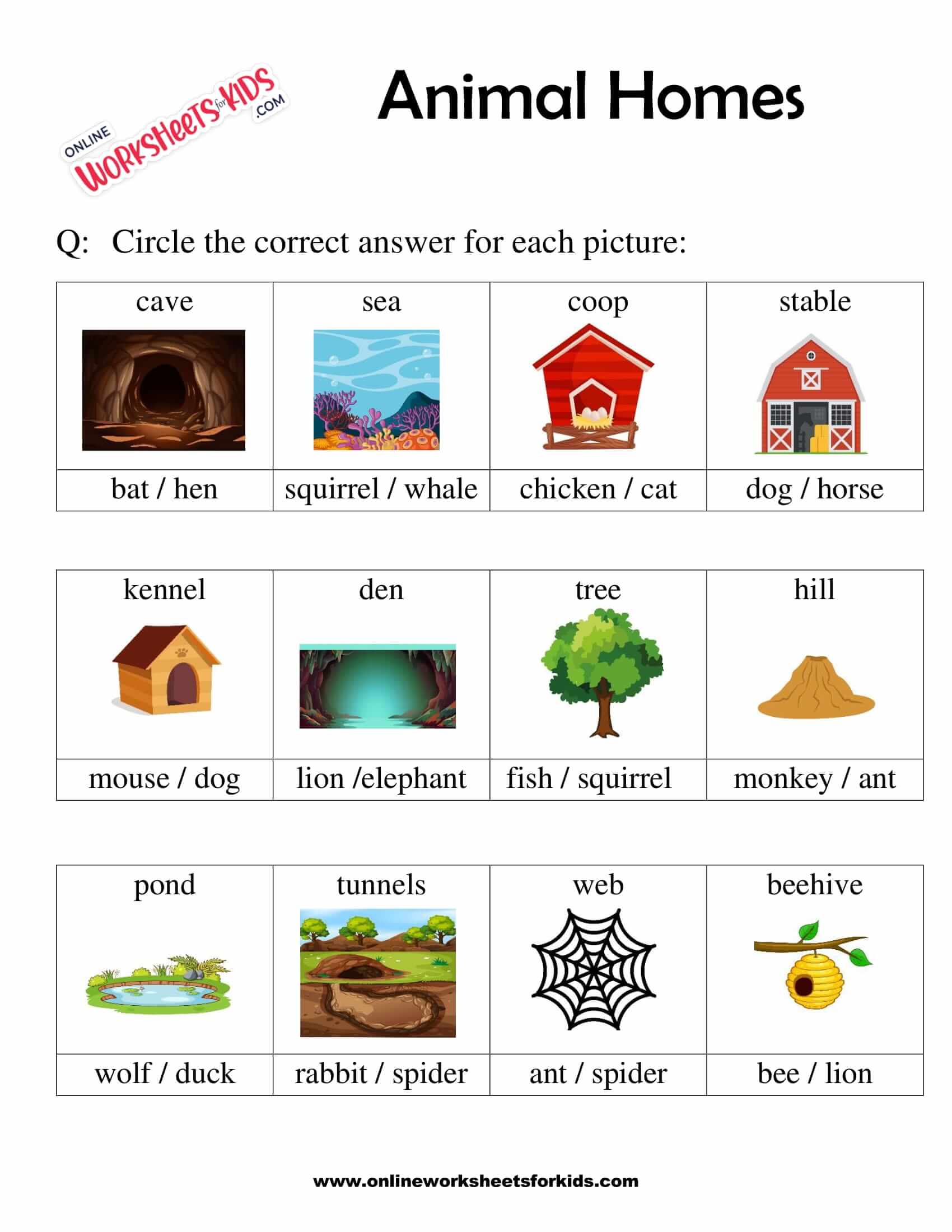 Free Animals Homes Worksheet for Grade 1