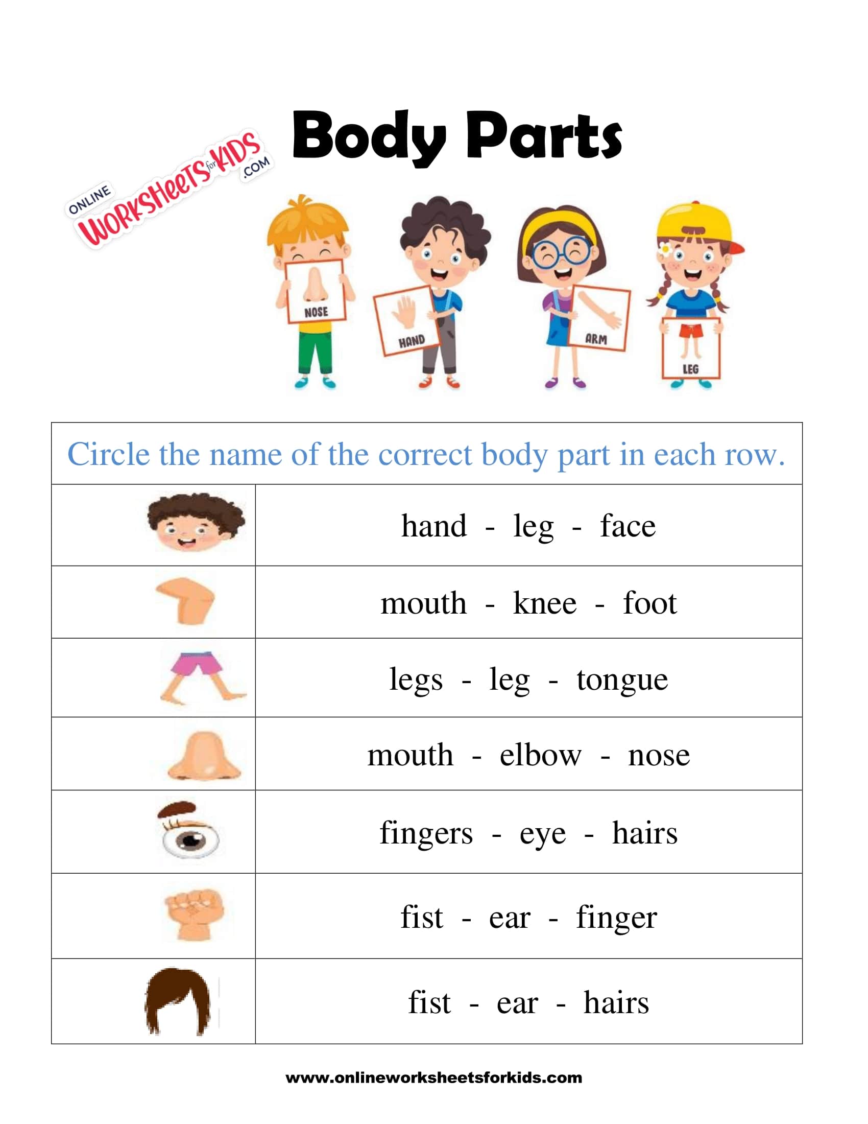 body parts worksheet 6