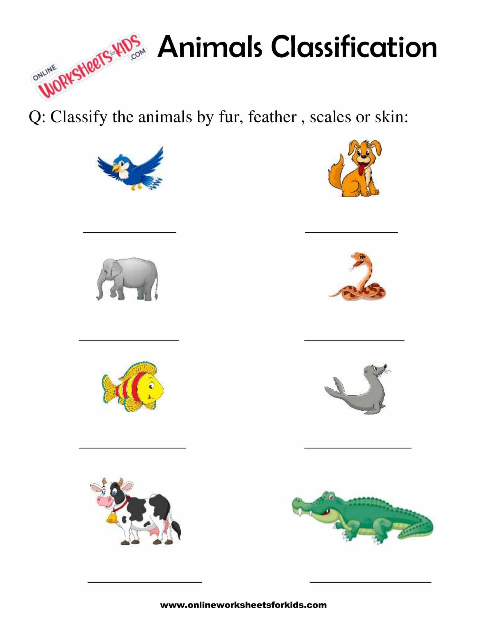 Classification Of Animals Worksheet