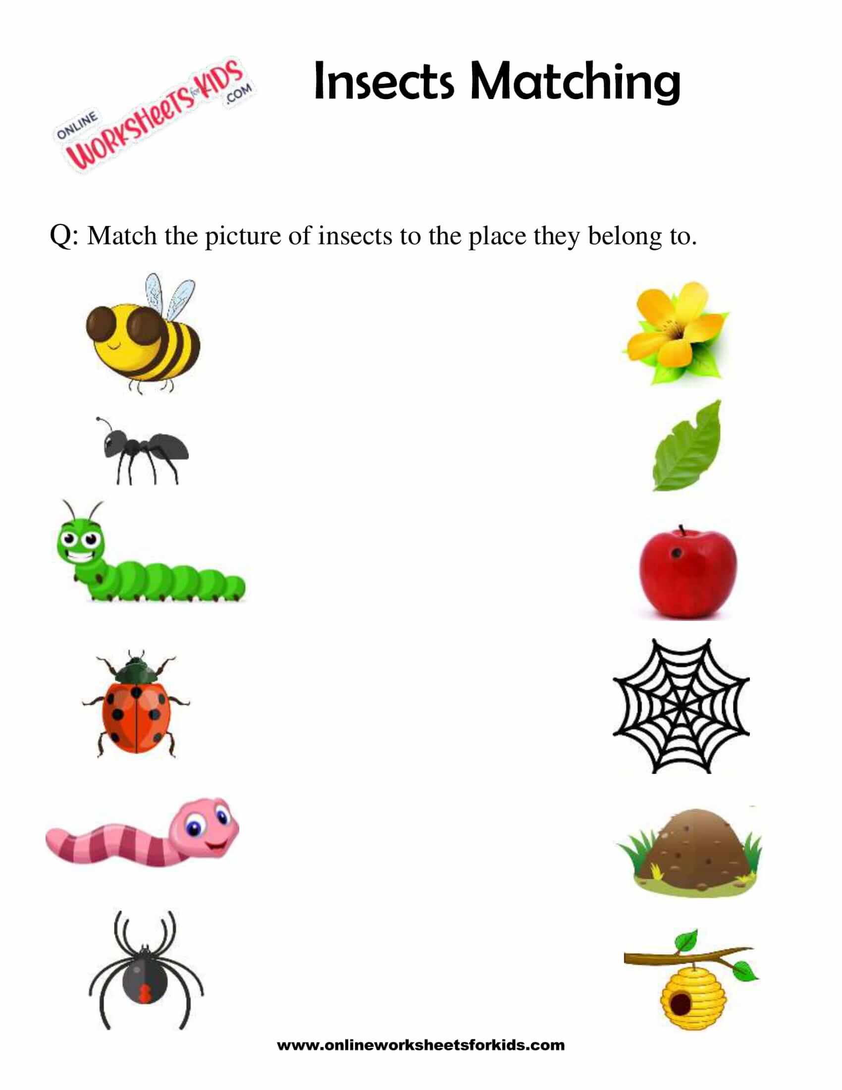 Free Printable Insect Activities