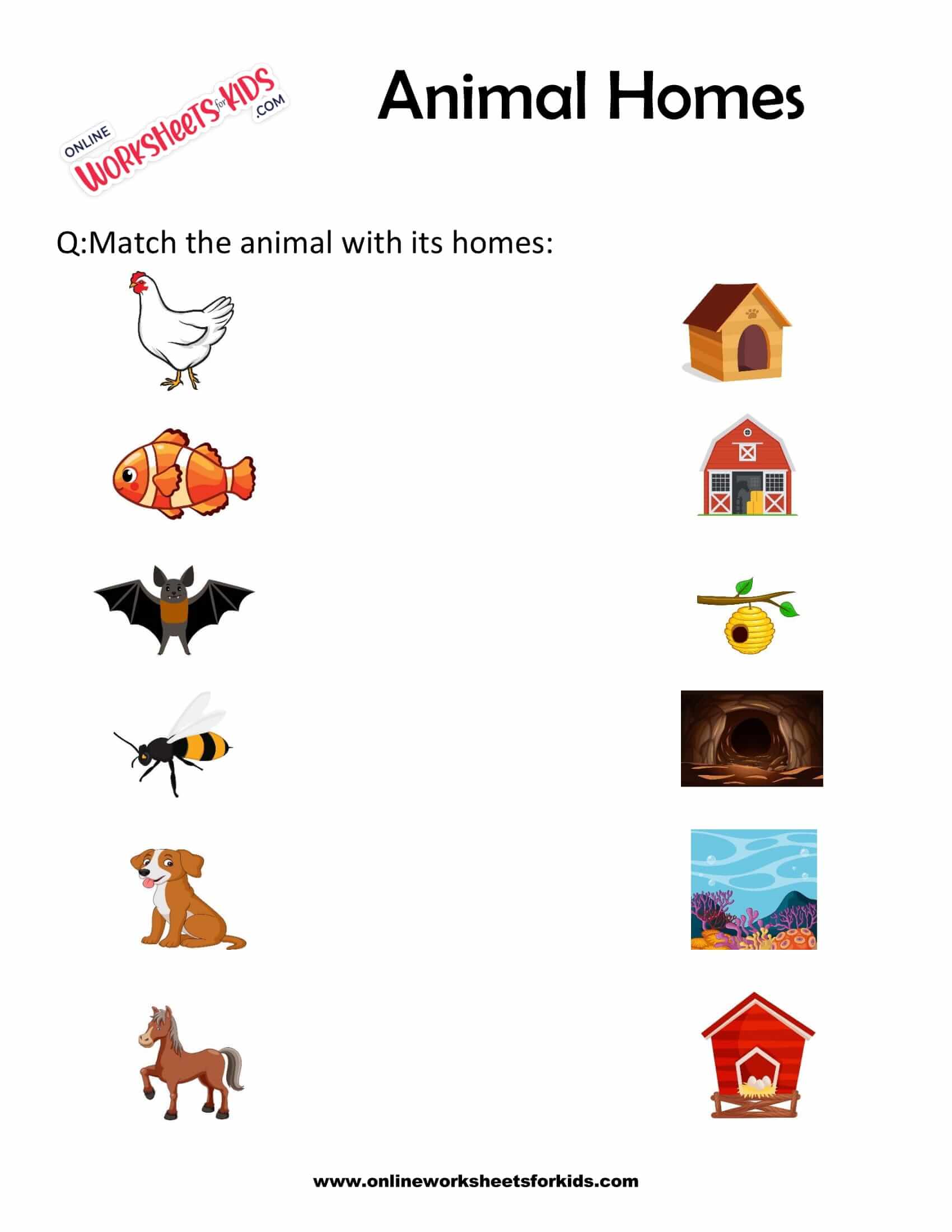 Free Animals Homes Worksheet for Grade 1