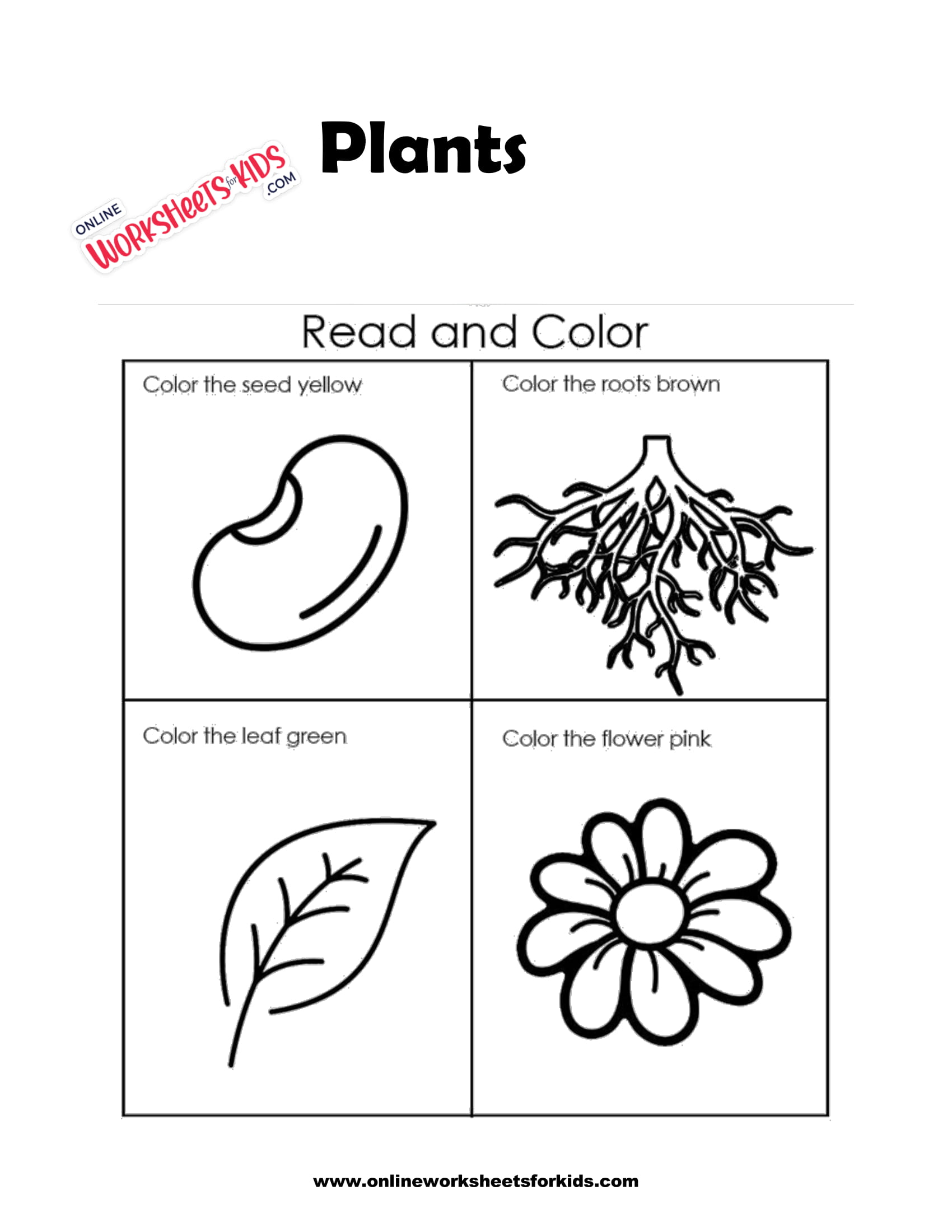 plants worksheets 2