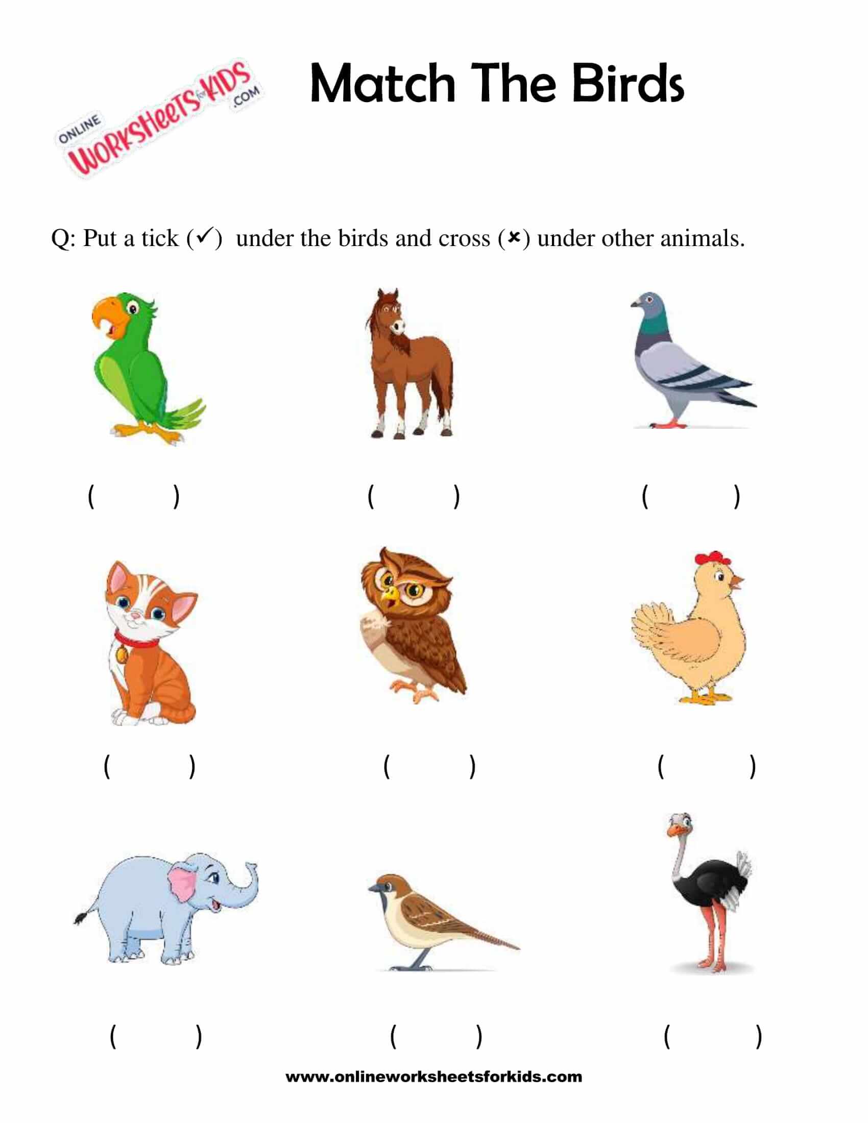 Match The Birds 4