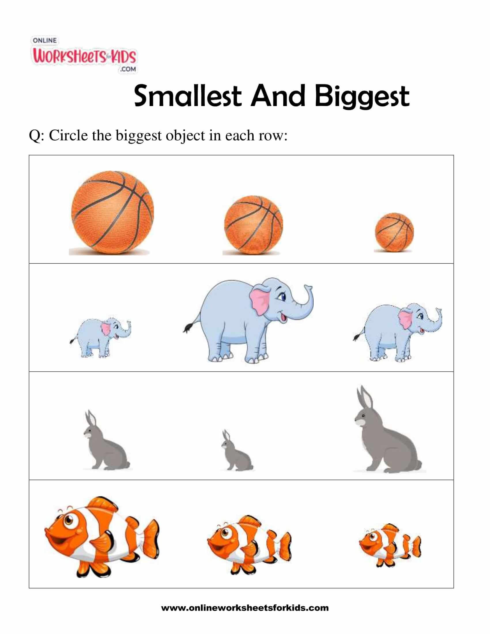 smallest-and-biggest-1