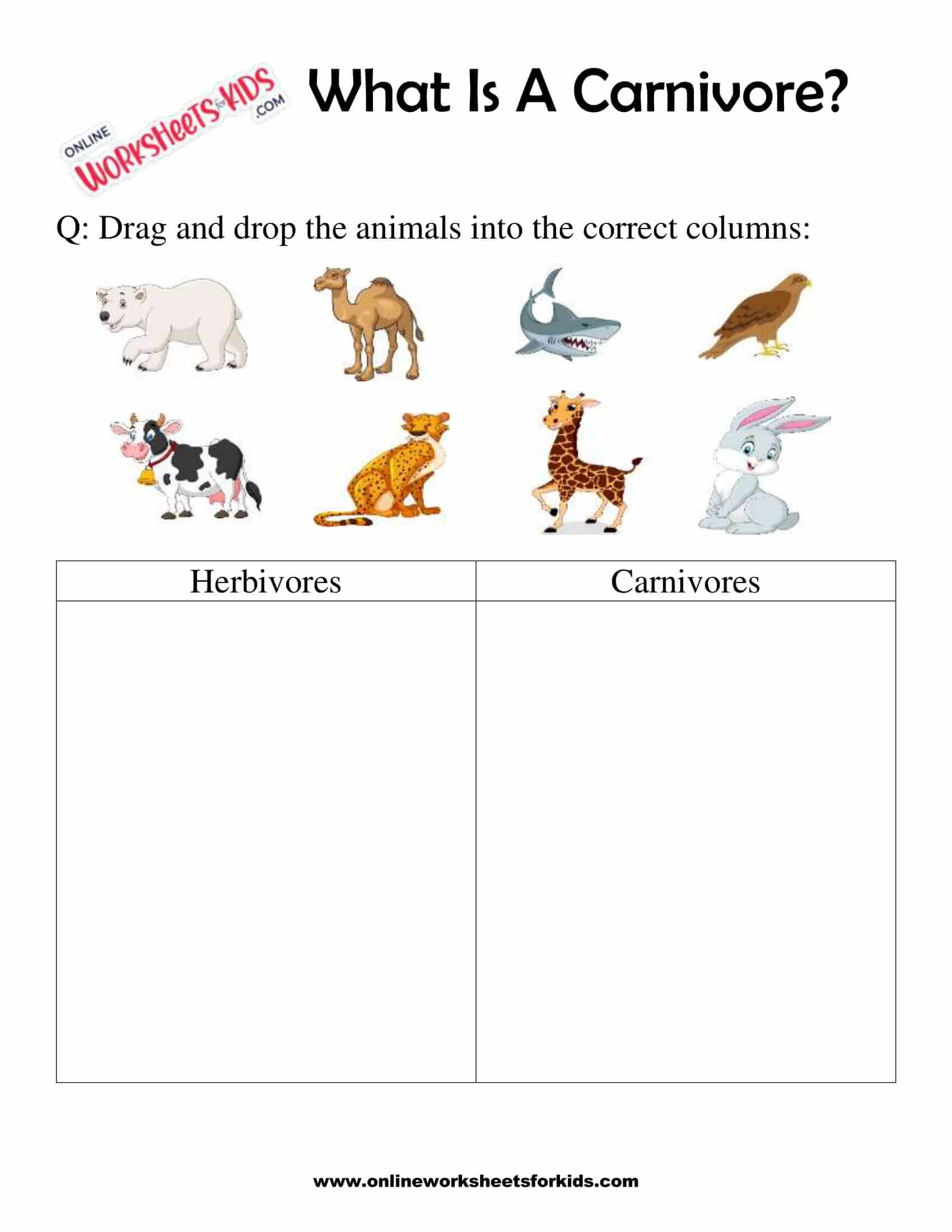 What Is A Carnivore Worksheets For 1st Grade 7