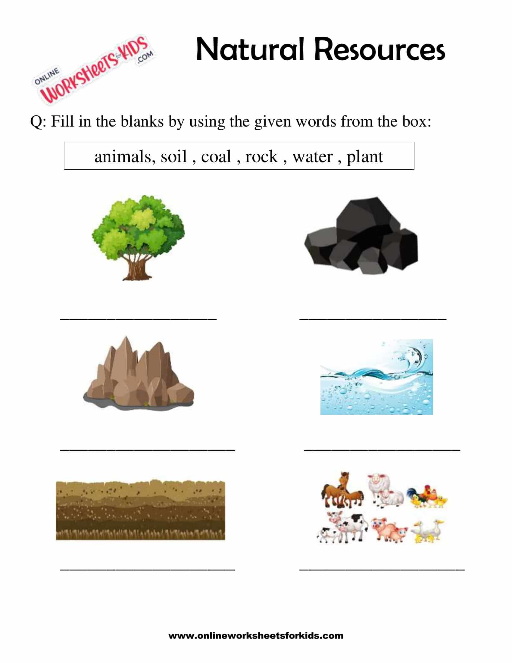 natural resources worksheets for 1st grade 3