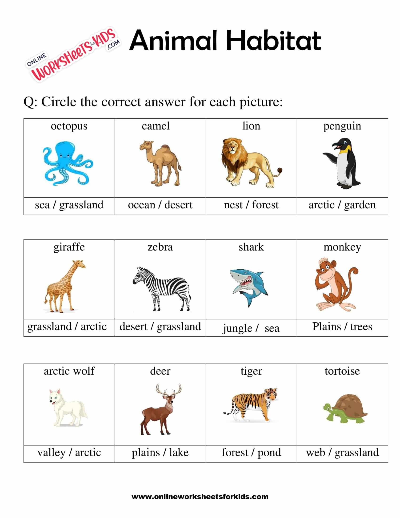 Animal Habitats Worksheets for Grade 16