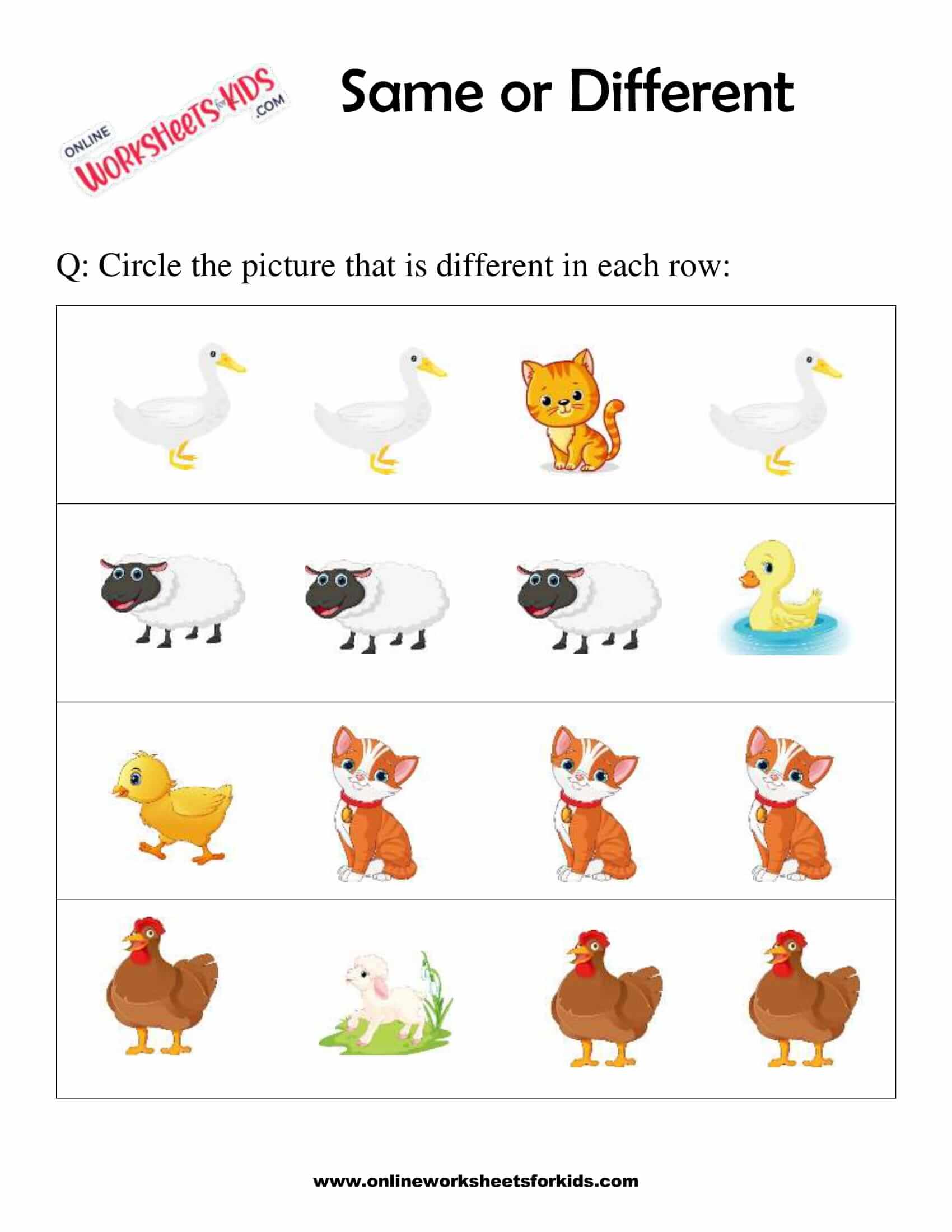 Same or Different Worksheets 7