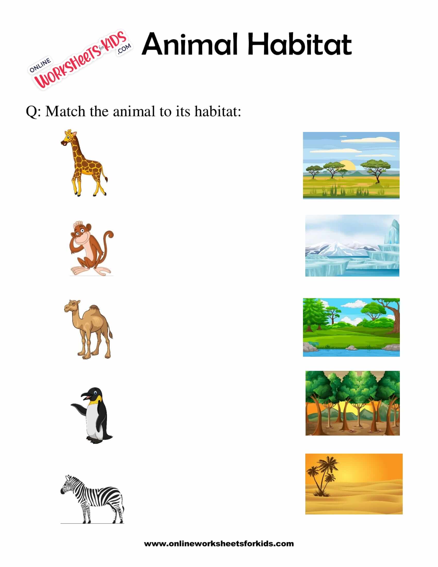 habitats-worksheet