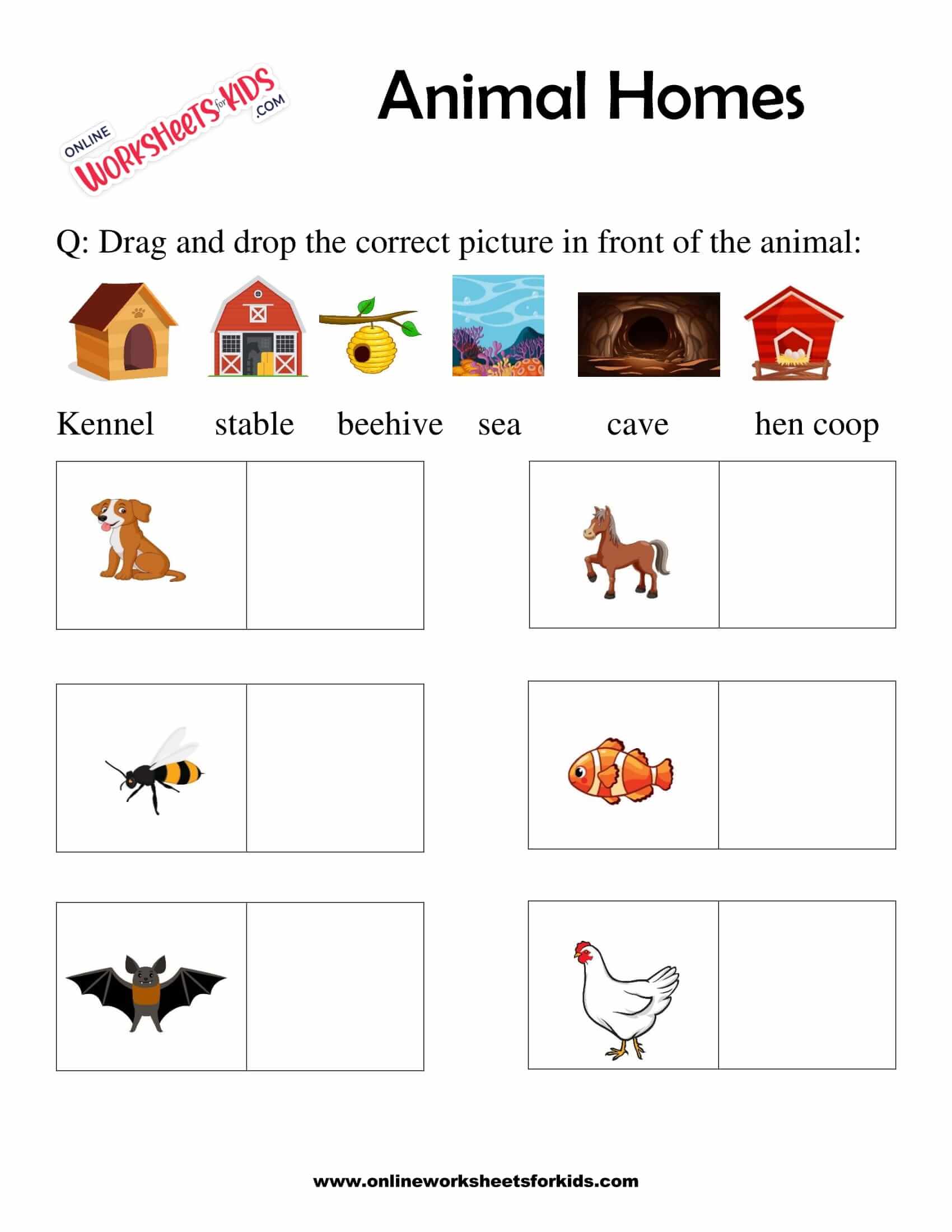Animals And Their Homes Worksheets Worksheetsgo - vrogue.co