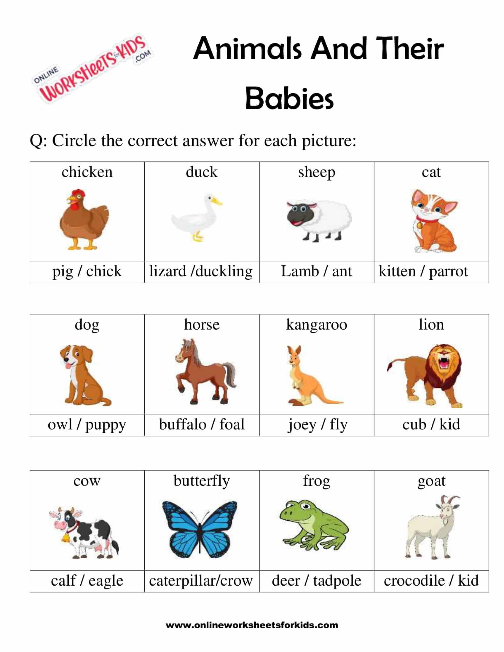 Top 132+ Animals and their young ones worksheets for grade 1