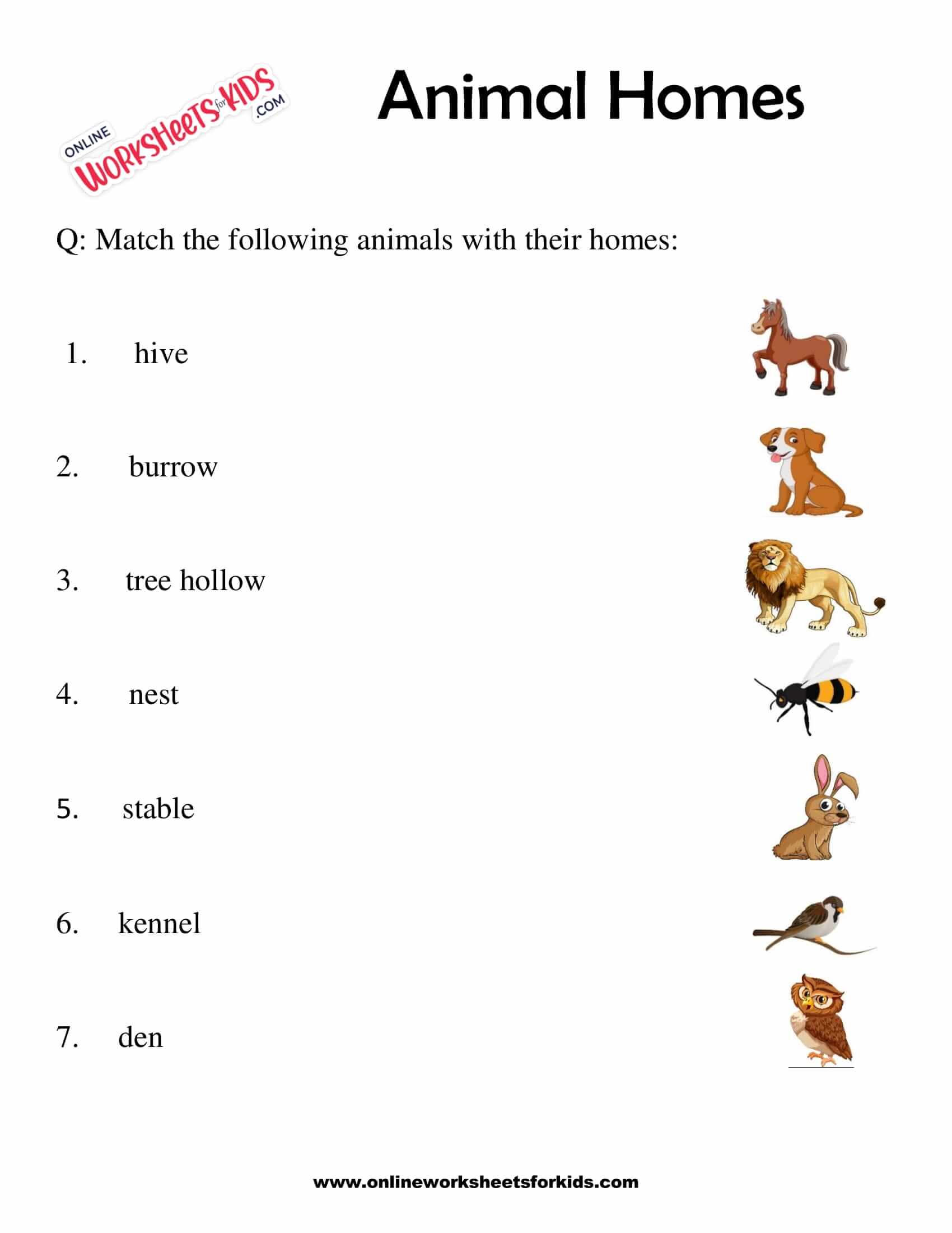 Animal Homes Worksheet for Grade 1-7