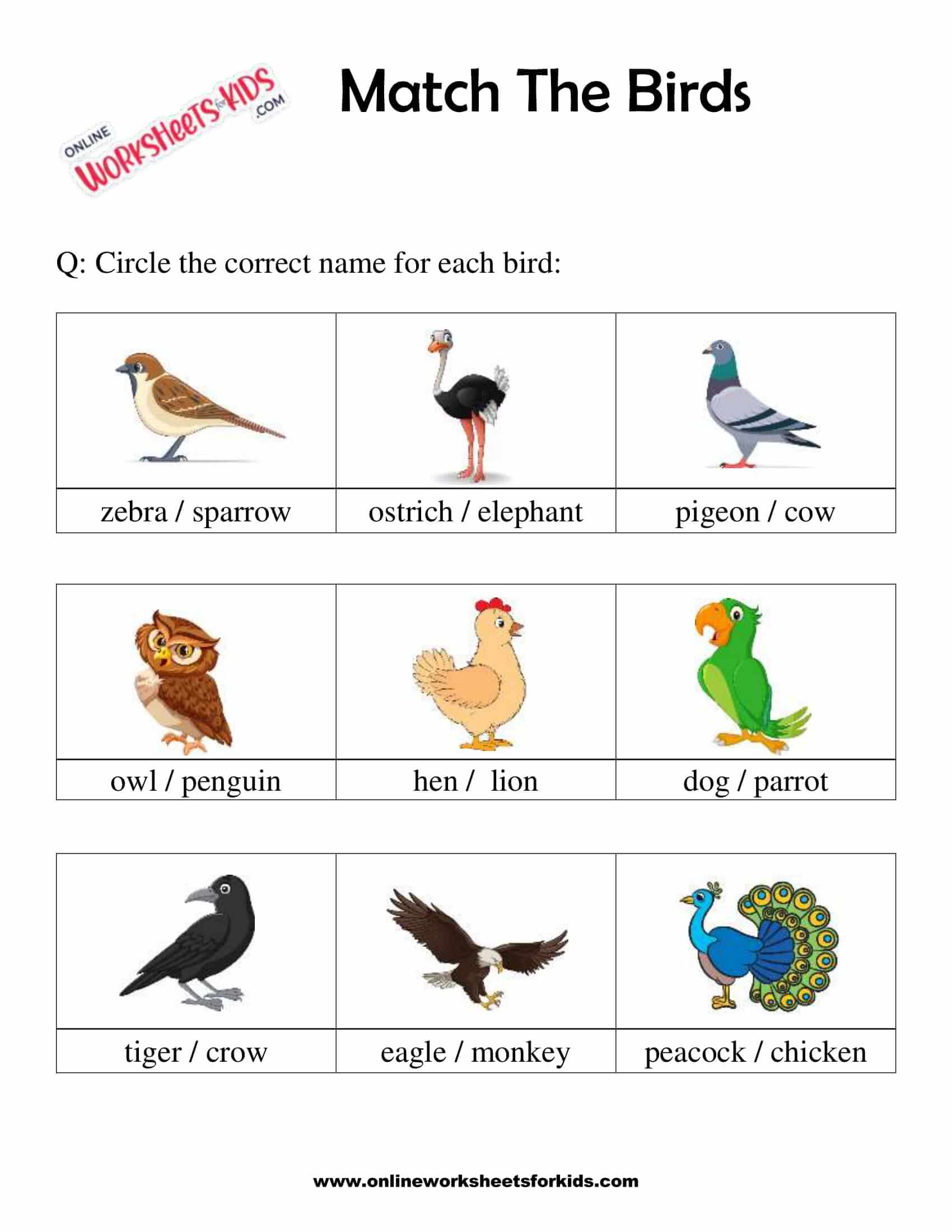 Match The Birds 5