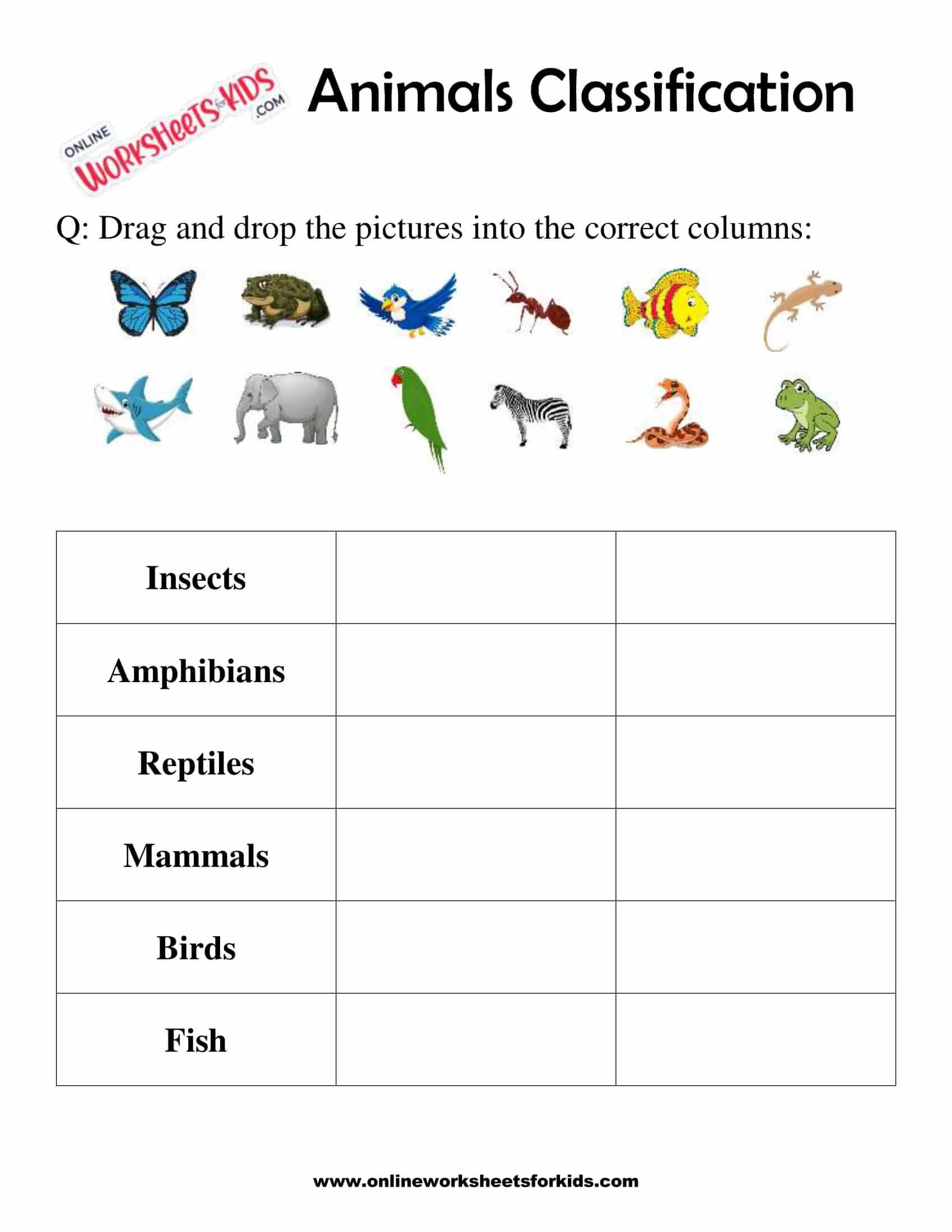 Animals Classification Worksheet For 1st Grade 3