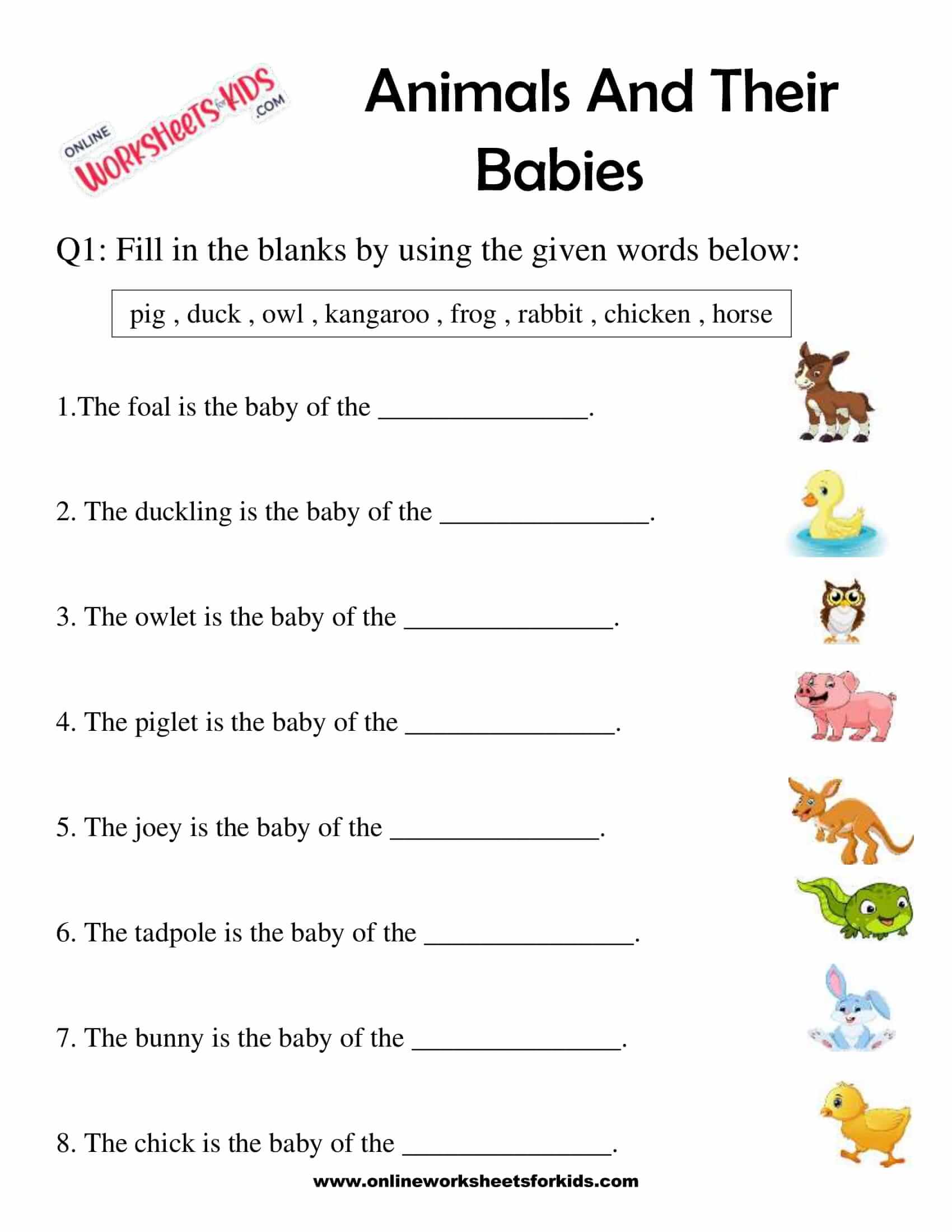 Animal And Their Babies Worksheet for Grade 1-7