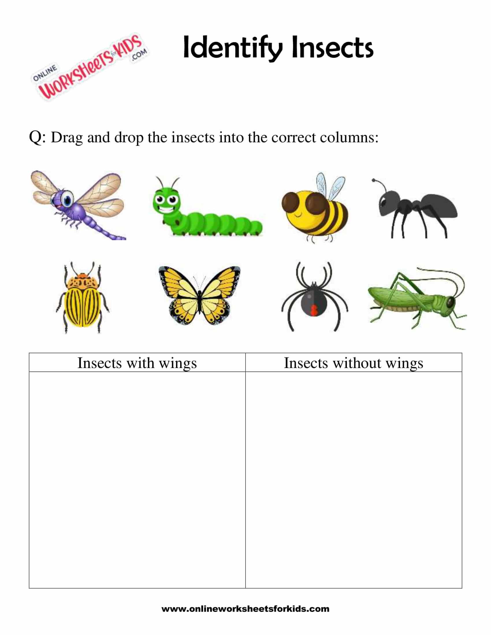 insect worksheets kindergarten