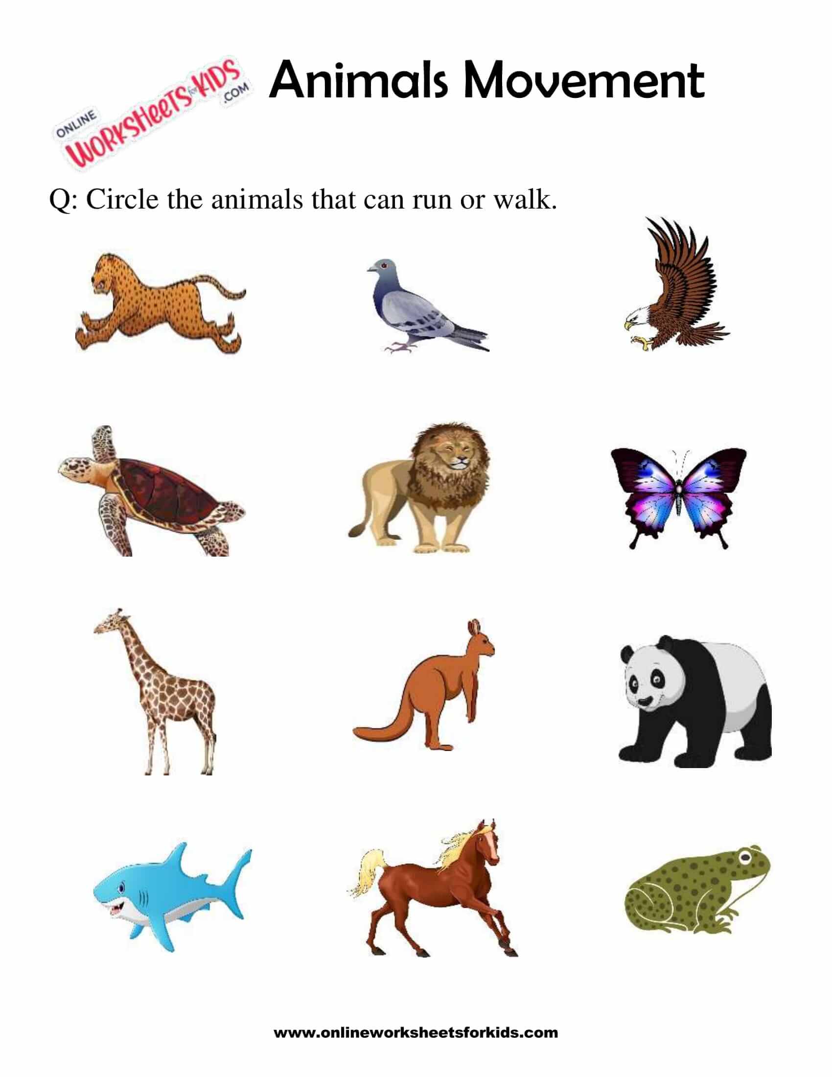 Animals Movement Worksheets For 1st Grade 9