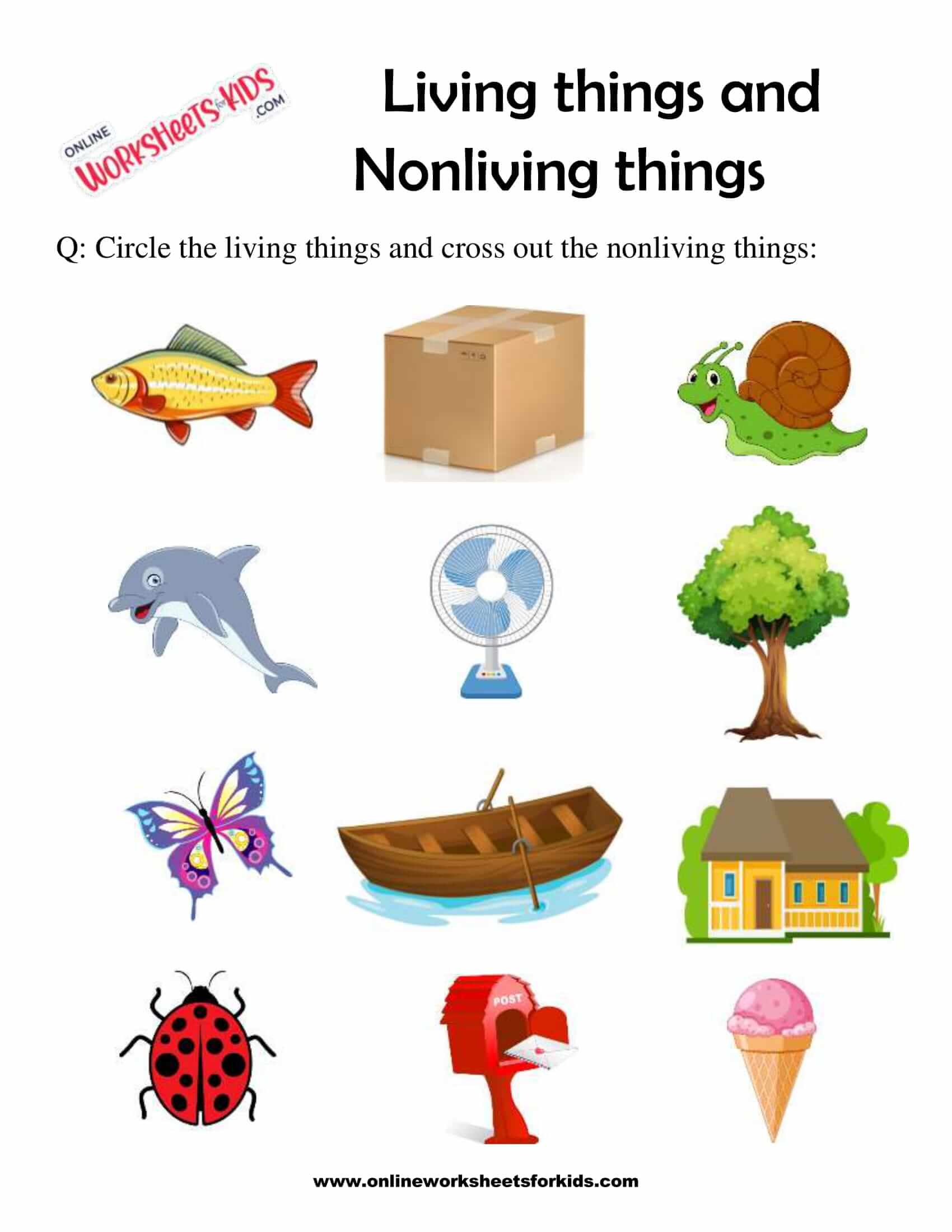 living-things-and-nonliving-things-5