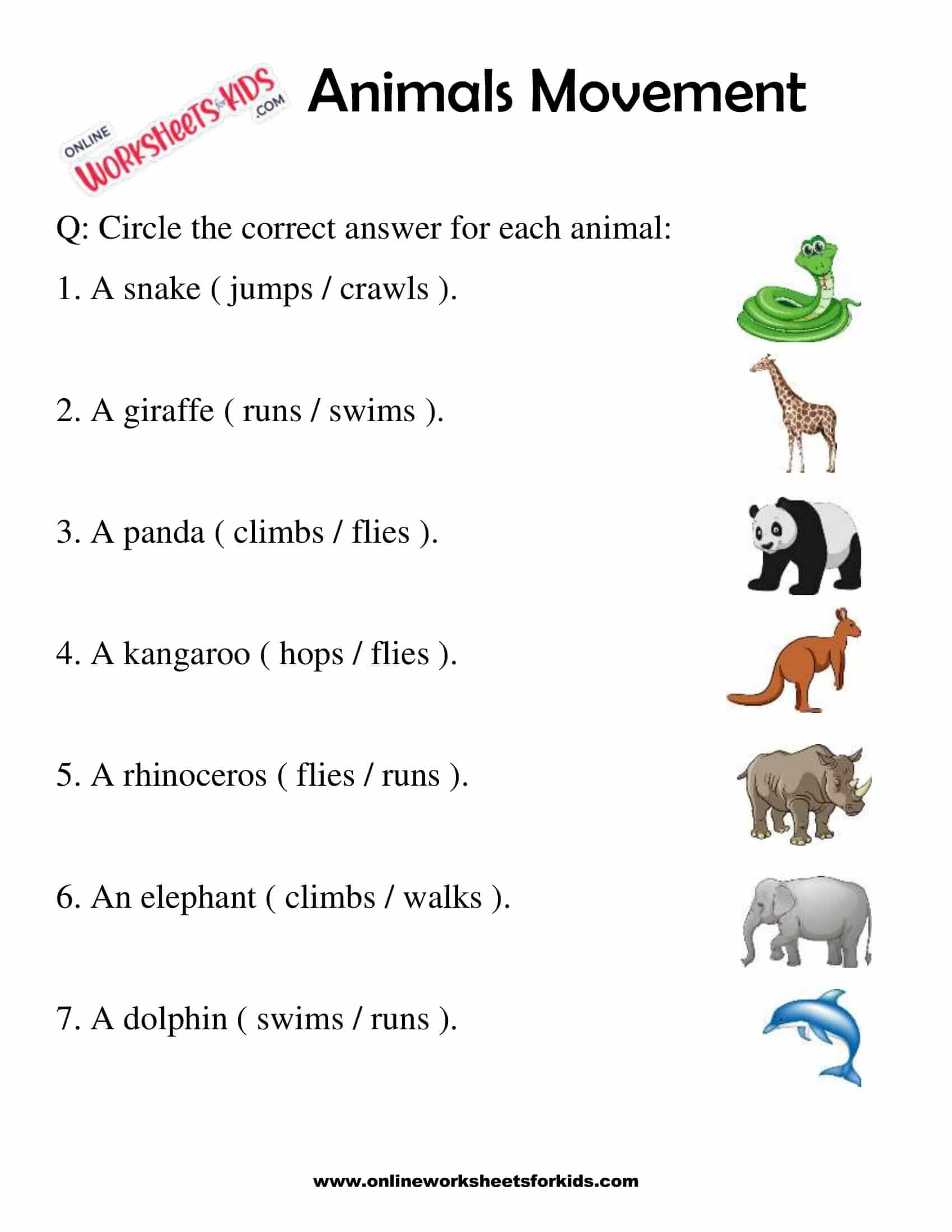 Animals Movement Worksheets For 1st Grade 8